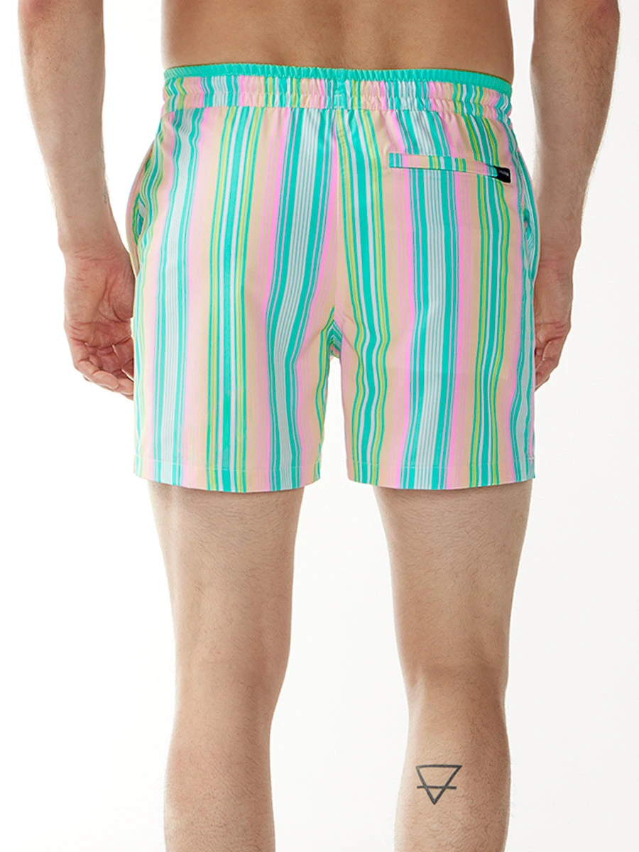 The Gum Drops 5.5" (Classic Swim Trunk) 2 The Gum Drops 5.5" (Classic Swim Trunk) - Image 2