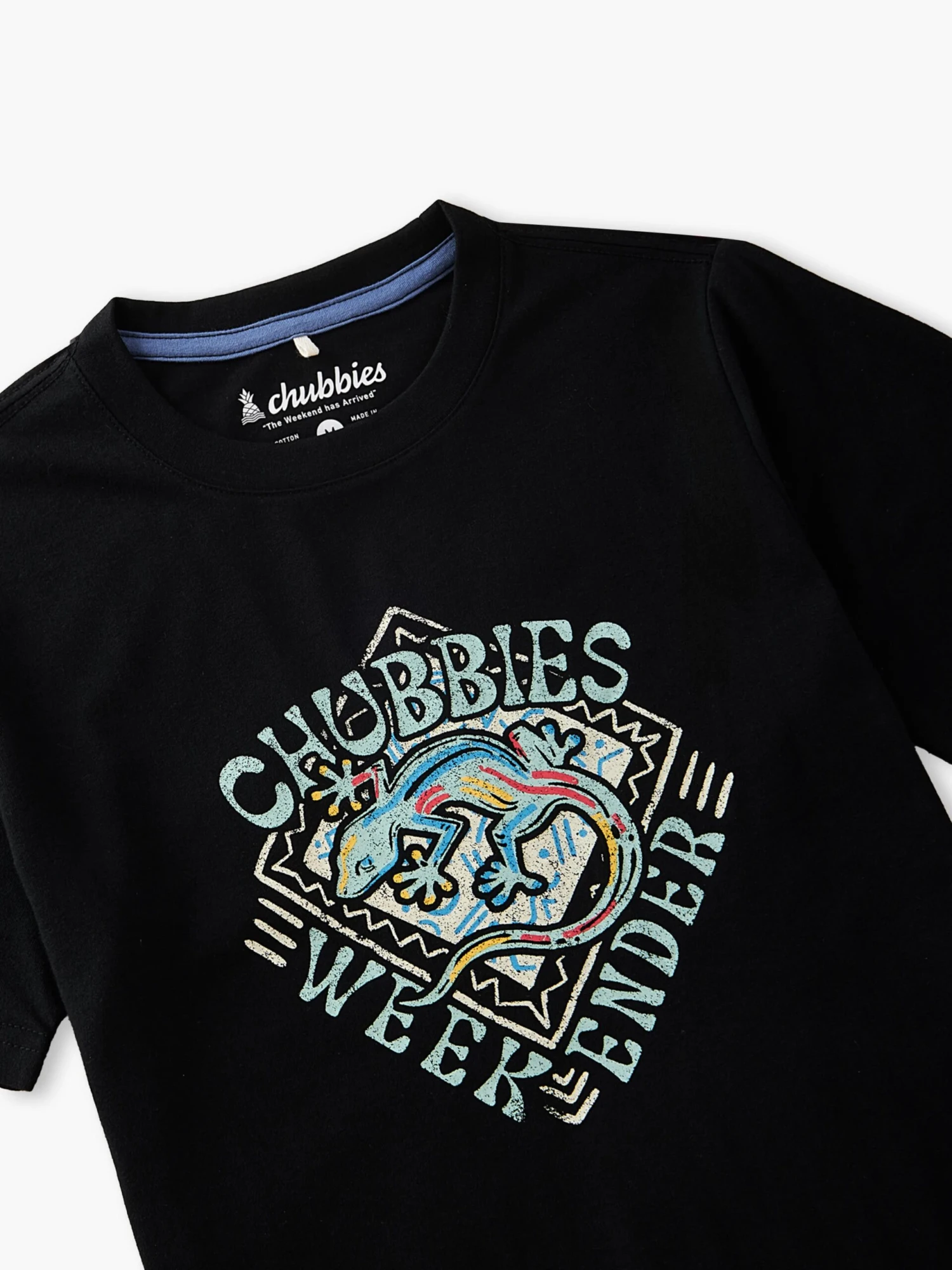 The Gecko Deco (Boys Non Pocket Graphic T-Shirt) 7 The Gecko Deco (Boys Non Pocket Graphic T-Shirt) - Image 7