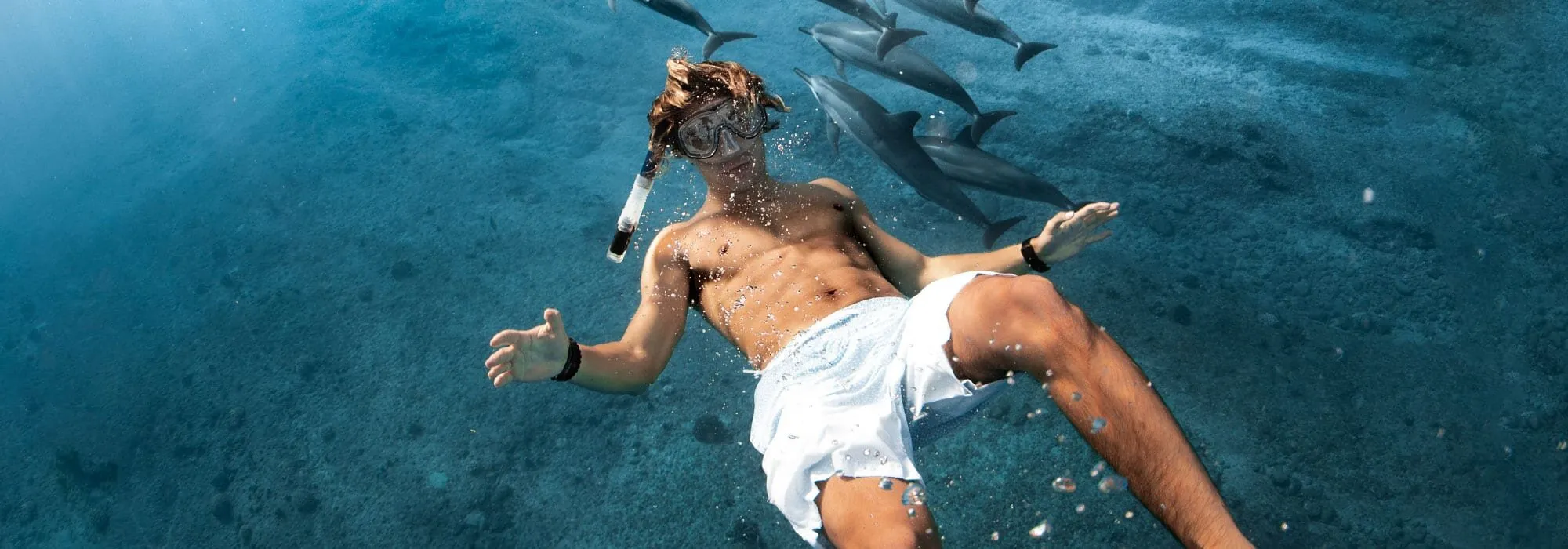 About Us -Aiden Fashion Shop NNHP Whalesharks 10102018